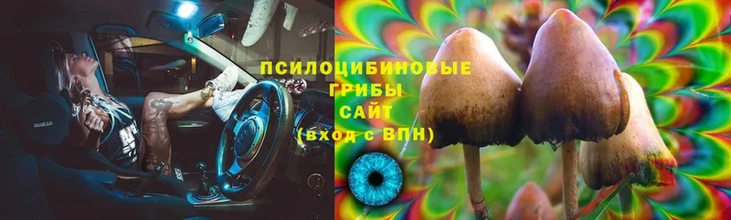 Псилоцибиновые грибы Magic Shrooms  Вышний Волочёк 